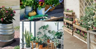 diferente tipos de recipientes donde se pueden plantar y cultivar plantas de jardín y huerto urbano